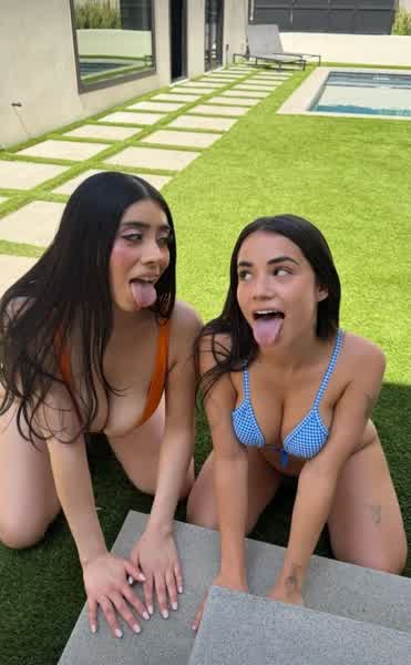 af2e1c66bc1a0f18f998b17385a9d39e15a81376f5136253c33008492e4e8b77 thumbnail